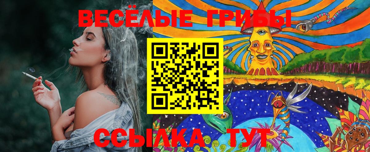 Псилоцибиновые грибы Magic Shrooms  даркнет сайт  Кимовск  Вход с VPN 