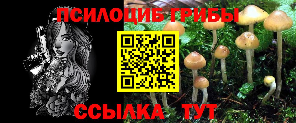Псилоцибиновые грибы мухоморы Кимовск